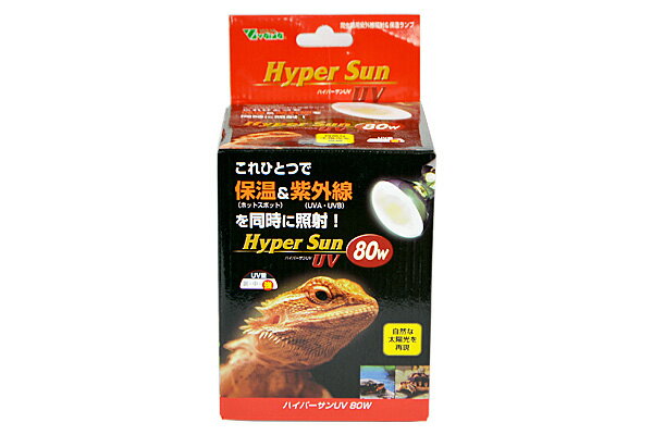 楽天市場】ハイパーサン 爬虫類の通販