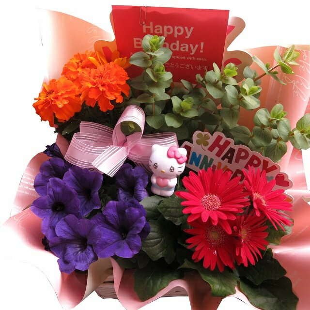 楽天市場】ハローキティ プランターの通販