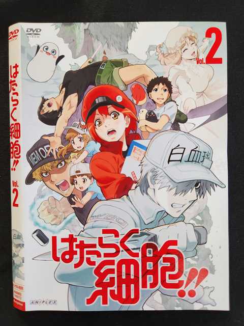 楽天市場】はたらく細胞2期 dvdの通販