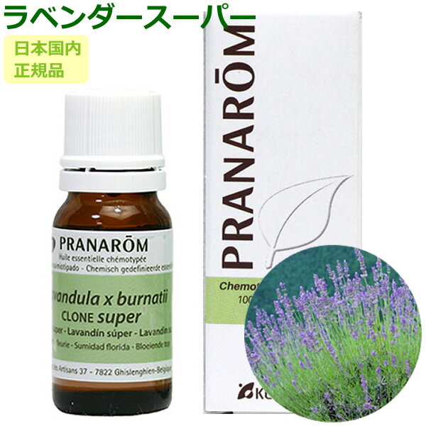楽天市場】プラナロム ラベンダー アングスティフォリアの通販