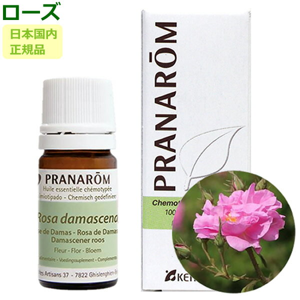 楽天市場】ローズ プラナロムの通販