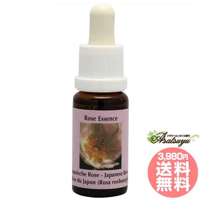 楽天市場】ローズ eエッセンスの通販