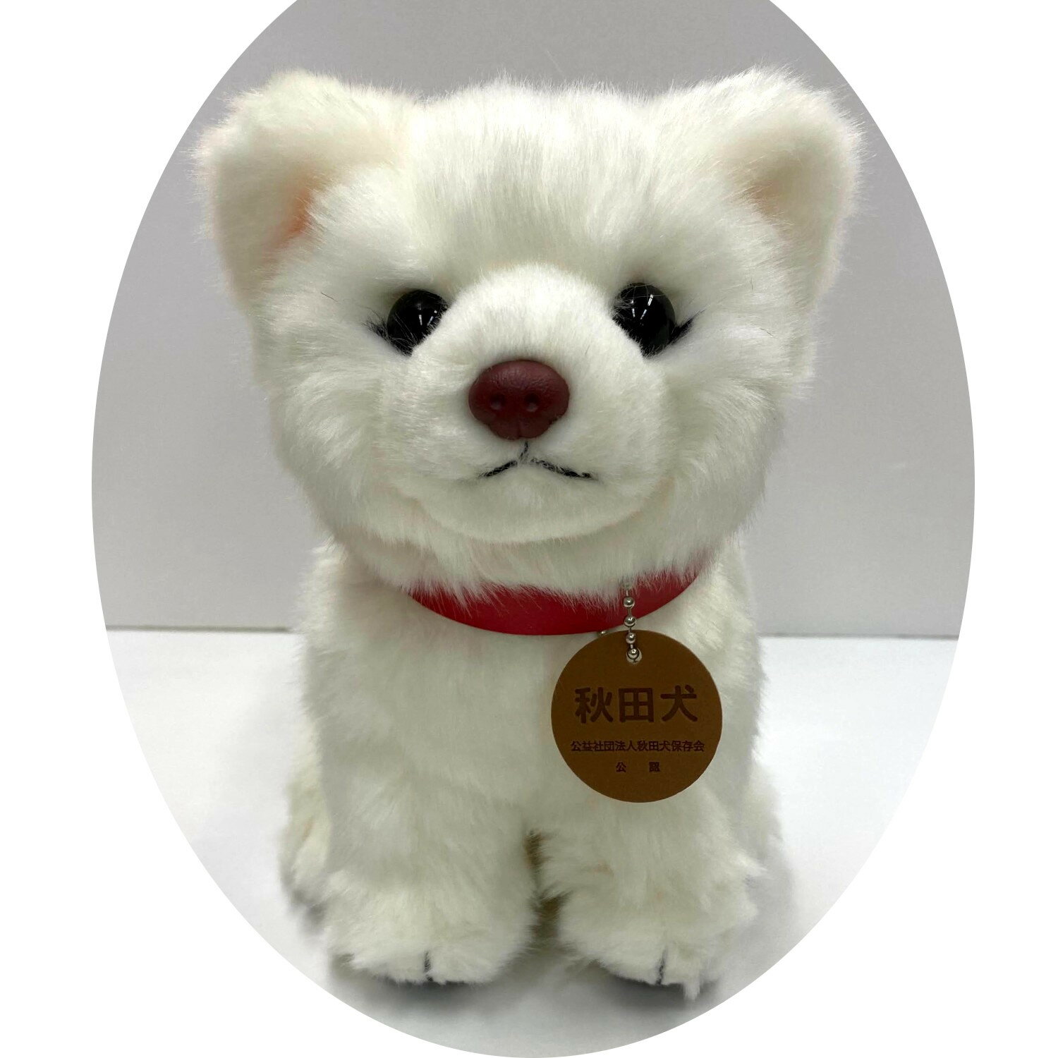 楽天市場】犬 ぬいぐるみ 白（ぬいぐるみ｜ぬいぐるみ・人形