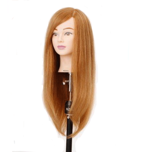 楽天市場】nbaa アップ ウィッグの通販