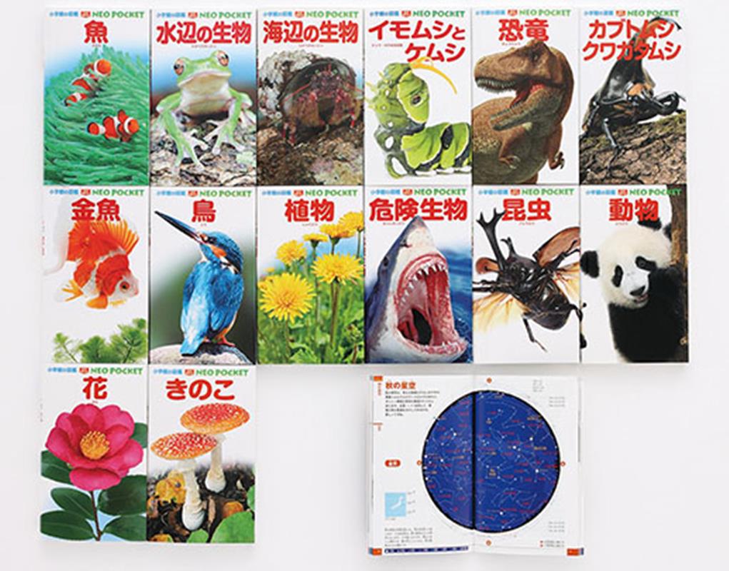 楽天市場】小学館図鑑neoわくわく5冊の通販