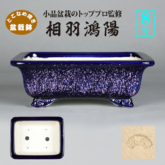 楽天市場】鴻陽 鉢の通販