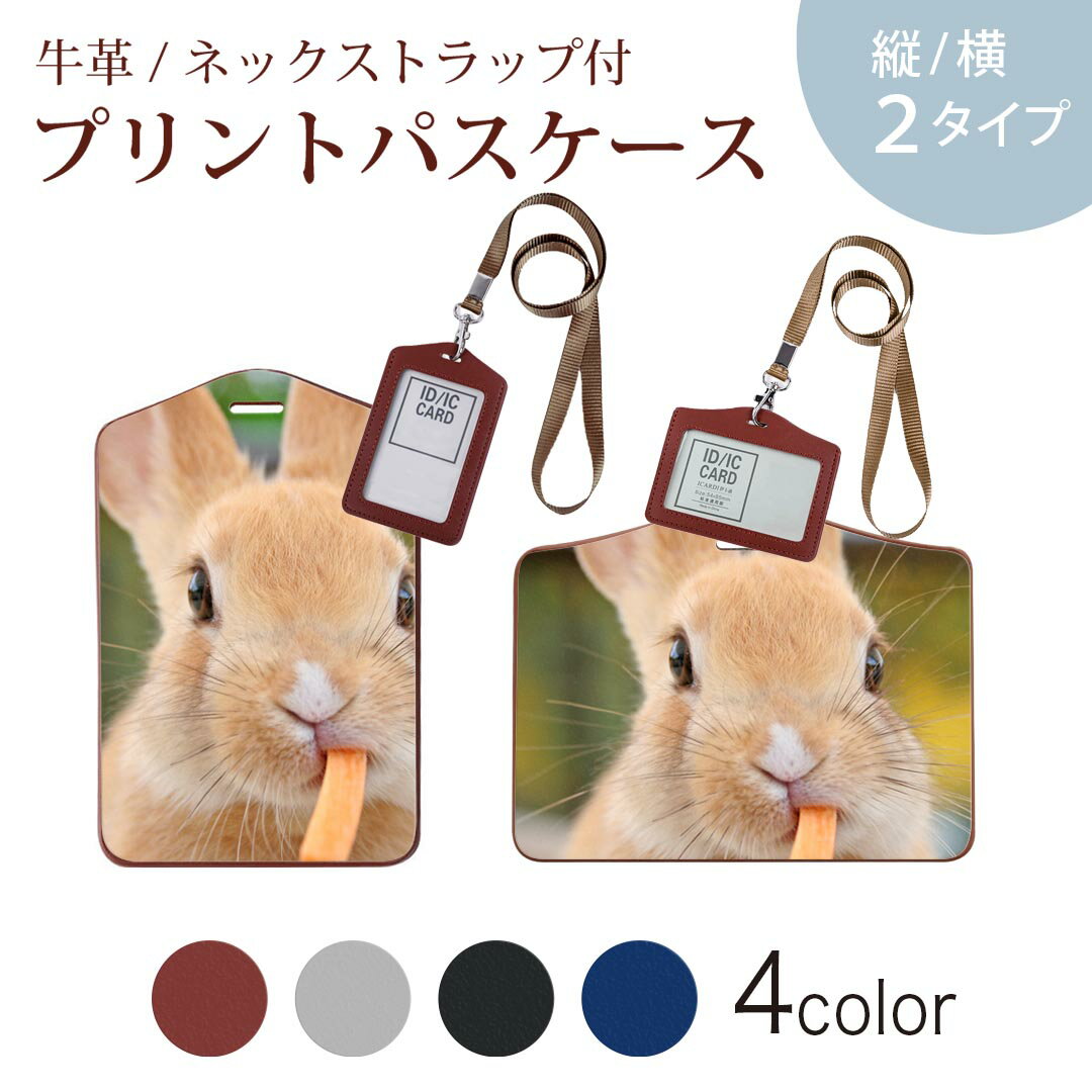 楽天市場】ご注文はうさぎですか パス ケースの通販