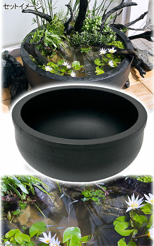 大型睡蓮鉢（メダカ鉢）超軽量タイプ（約1kg）ブラック 睡蓮鉢金魚鉢