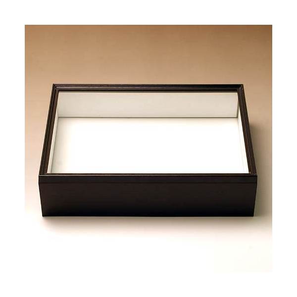 楽天市場】標本箱 特大の通販