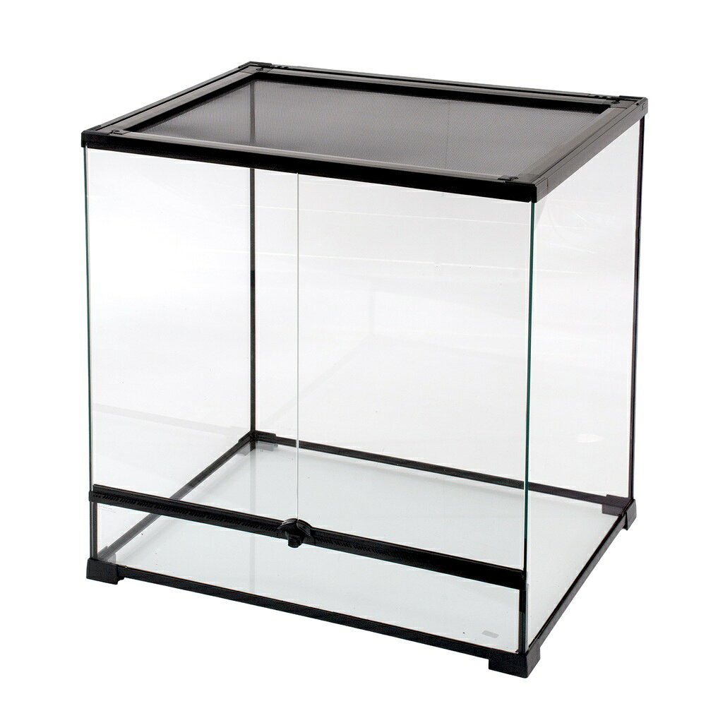 楽天市場】グラステラリウム6045の通販