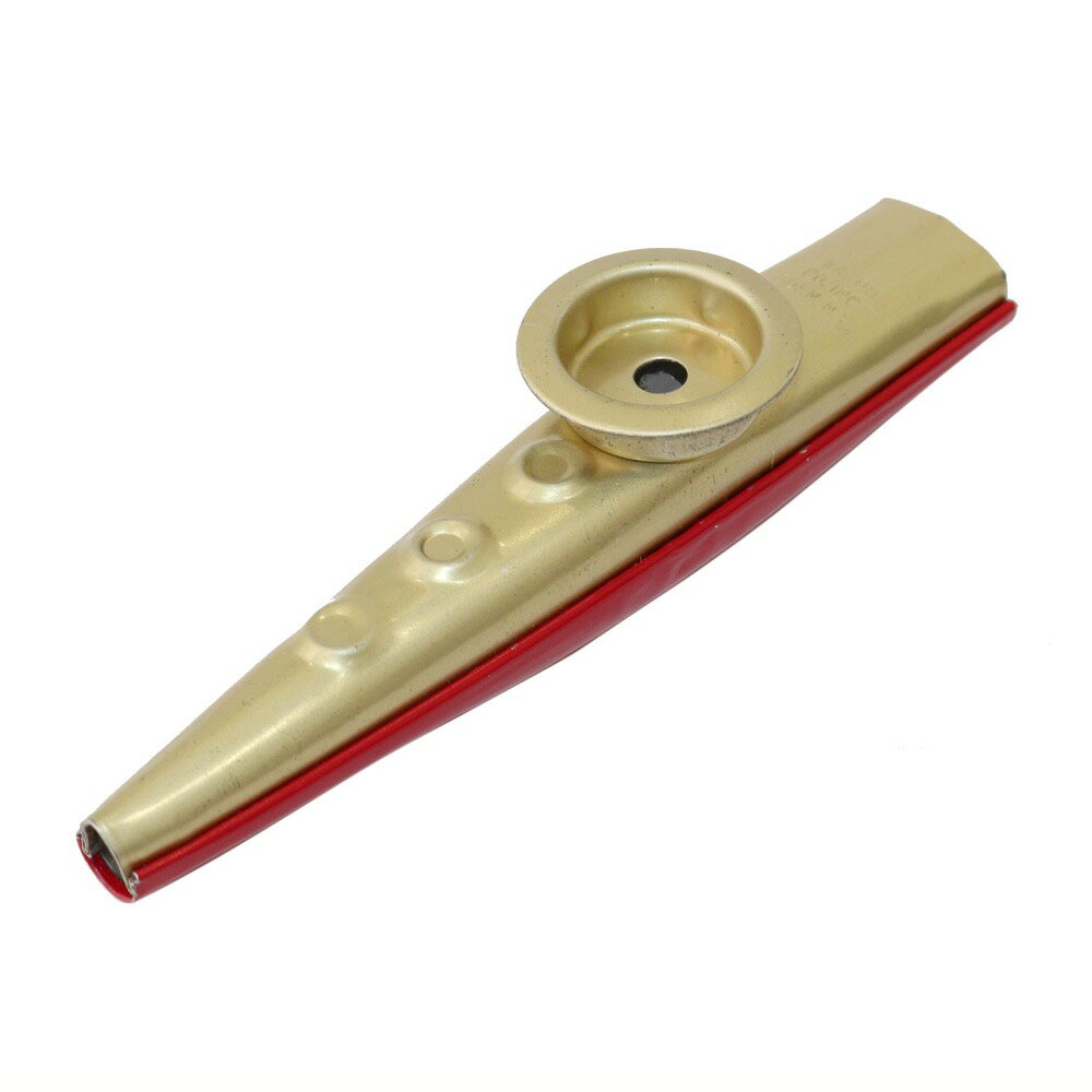 同じアコギやパーツを揃えてゆずになりきろう！（岩沢厚治さん編