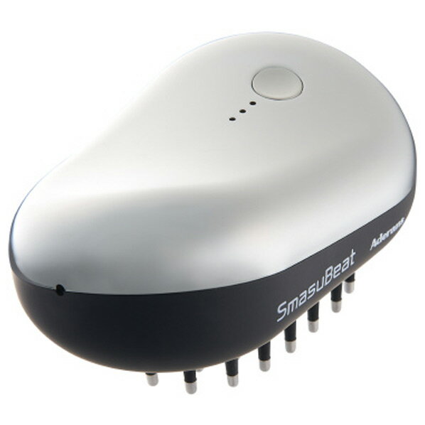 楽天市場】電気ブラシ（メーカーアデランス）の通販