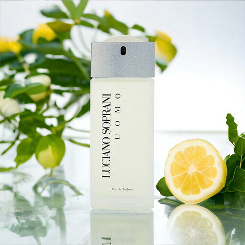 楽天市場】ルチアーノ ソプラーニ ソロ ブルー 香水 100mlの通販