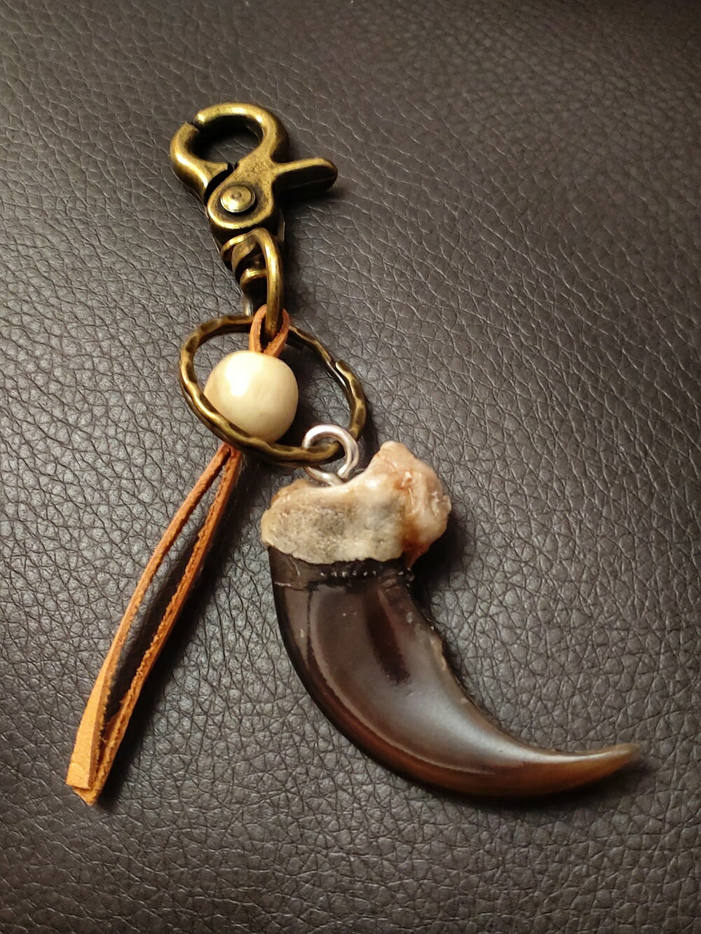 楽天市場】熊 爪 アクセサリー（ジュエリー・アクセサリー）の通販