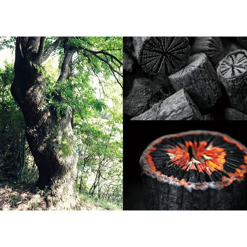 楽天市場】菊炭の通販