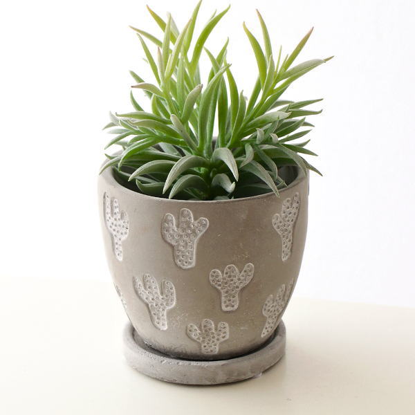 楽天市場】L字（植木鉢・プランター｜ガーデニング・農業）：花