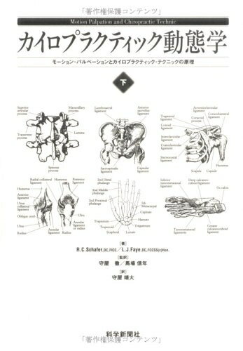 楽天市場】モーション パルペーションの通販
