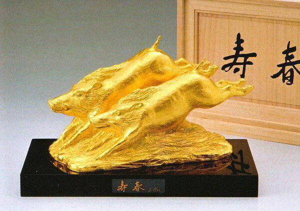 楽天市場】富永直樹の通販