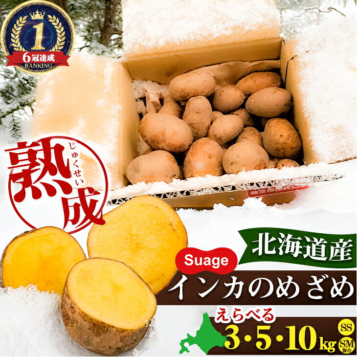 楽天市場】十勝 インカのめざめの通販