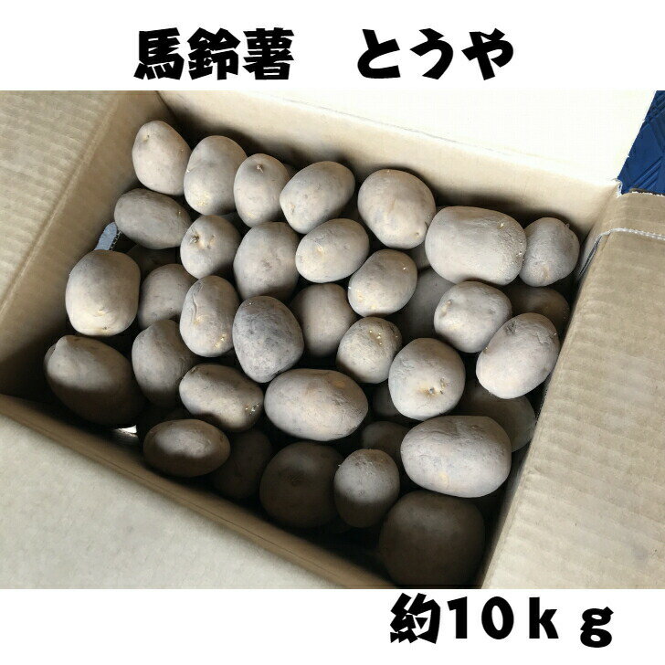 ロンパパ 種芋 10kg箱込み ロンパパ 種芋 10kg箱込み 2026年2月 種の