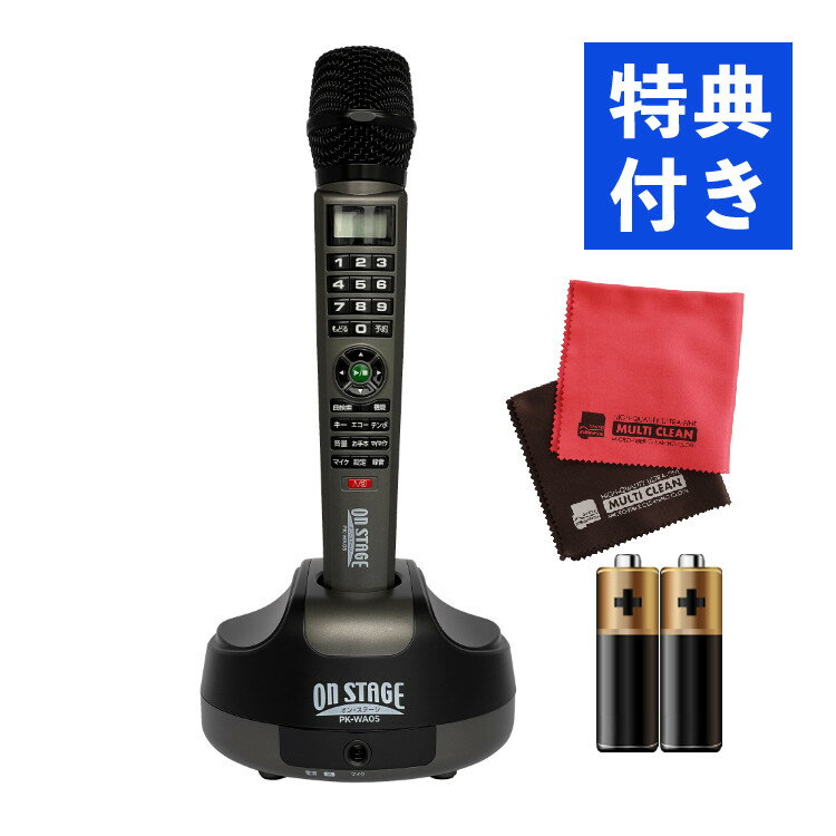 楽天市場】カラオケ オンステージ ペアマイクの通販