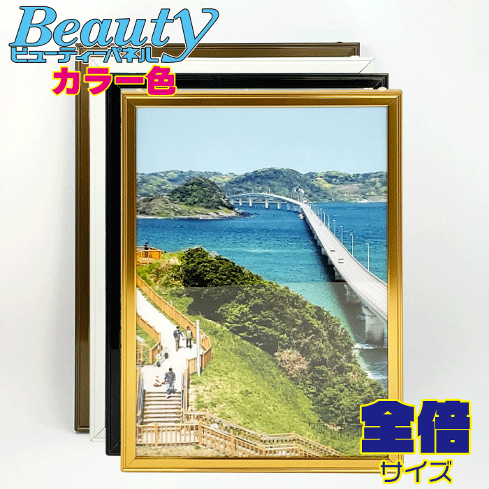 カシマ アルミフレーム 写真 展示用 600 900 ．20枚前後 カシマ アルミ