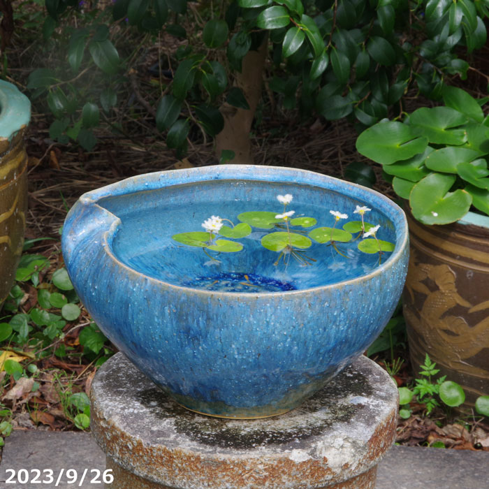 楽天市場】水鉢 販売の通販