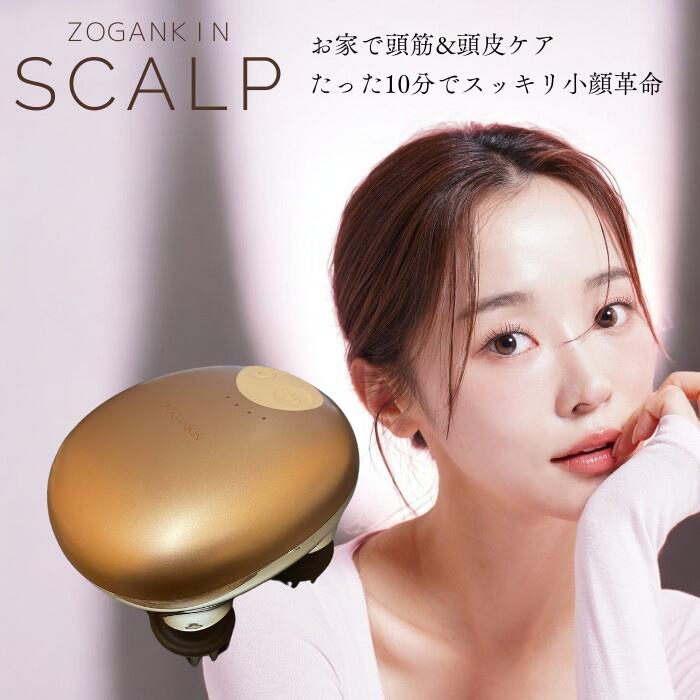 楽天市場】ゾーガンキンマチュアの通販