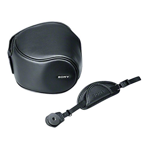 楽天市場】dsc－hx30v ケースの通販