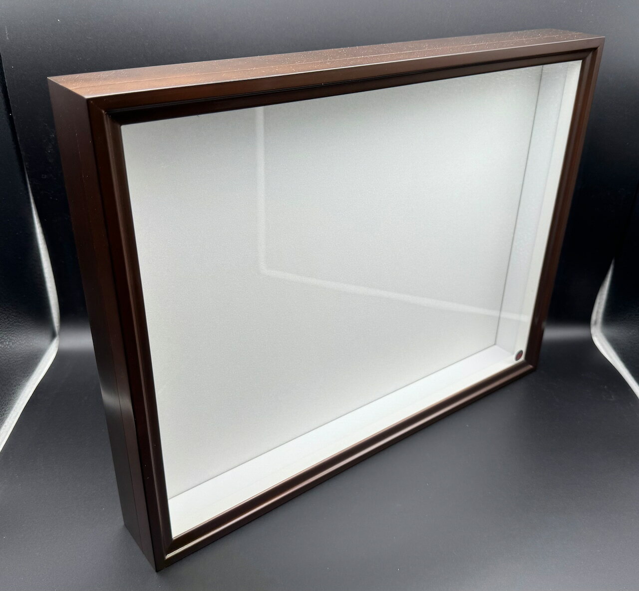 楽天市場】標本箱 バードウィングの通販