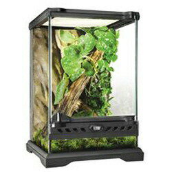 楽天市場】3045 グラステラリウム（爬虫類・両生類｜ペット・ペット