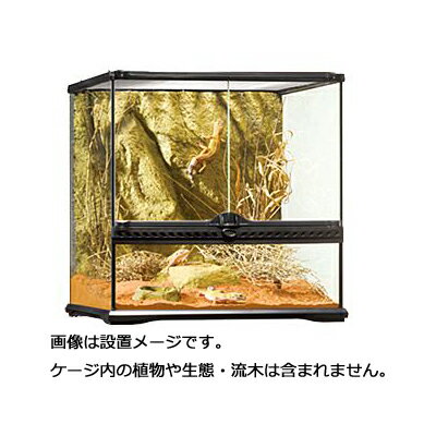 楽天市場】グラステラリウム 4530の通販