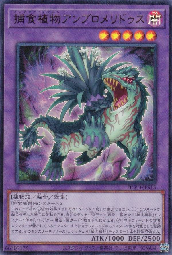 楽天市場】捕食植物 デッキの通販