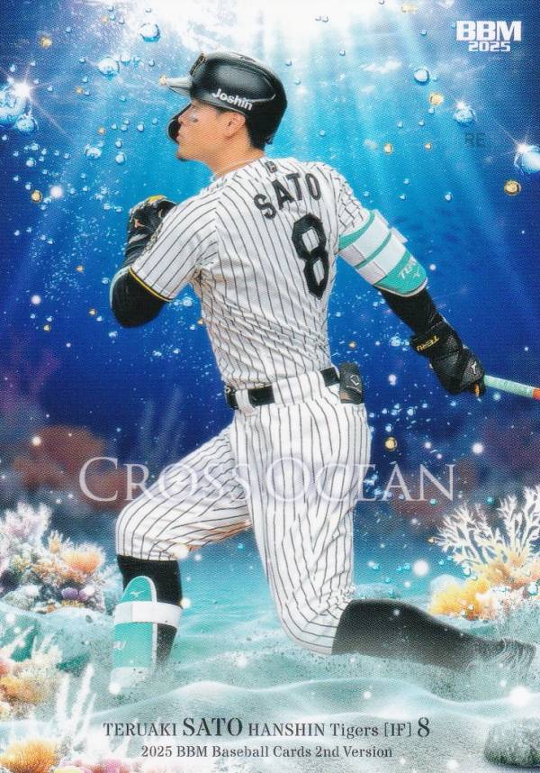 楽天市場】bbm box 阪神の通販