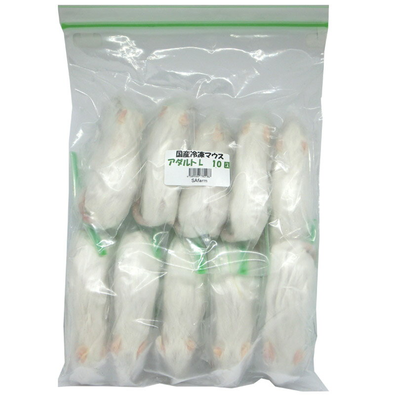 楽天市場】冷凍マウスの通販
