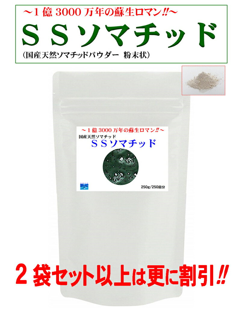 楽天市場】ソマチッド ソマチットの通販