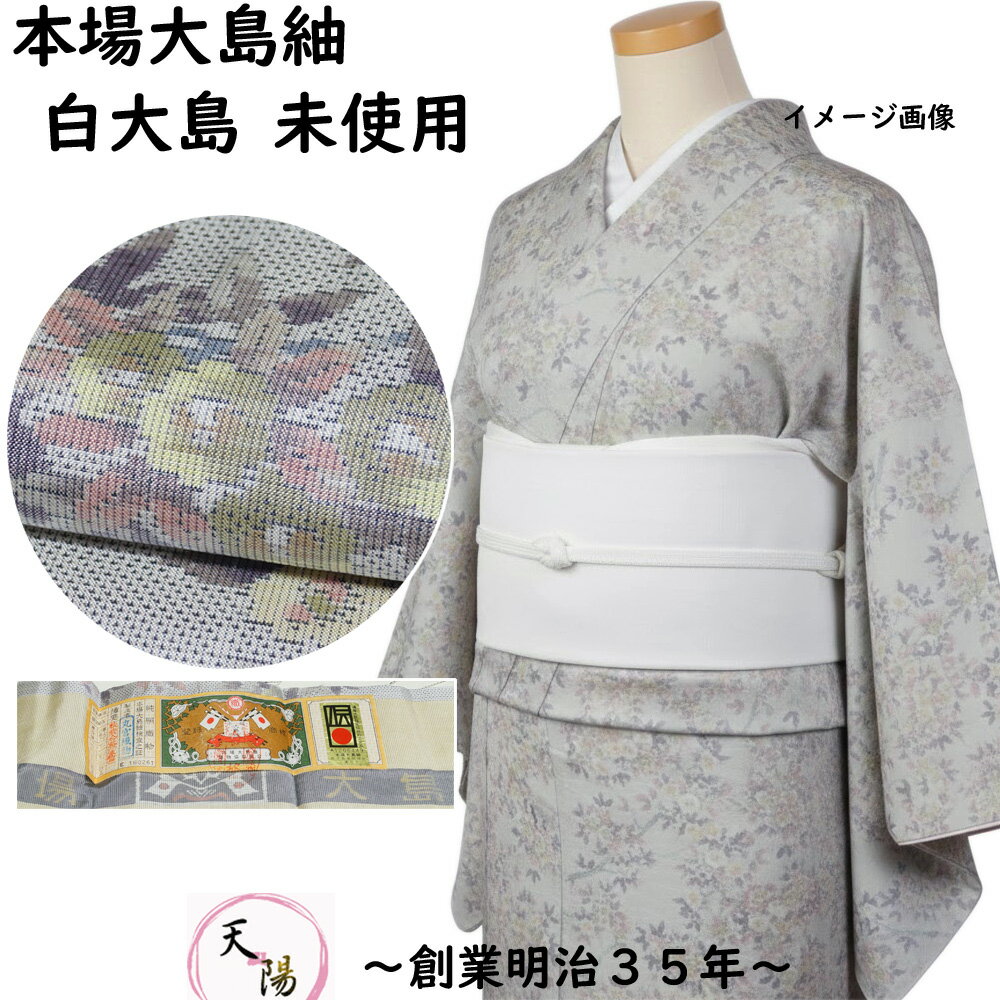 楽天市場】大島紬 未使用の通販
