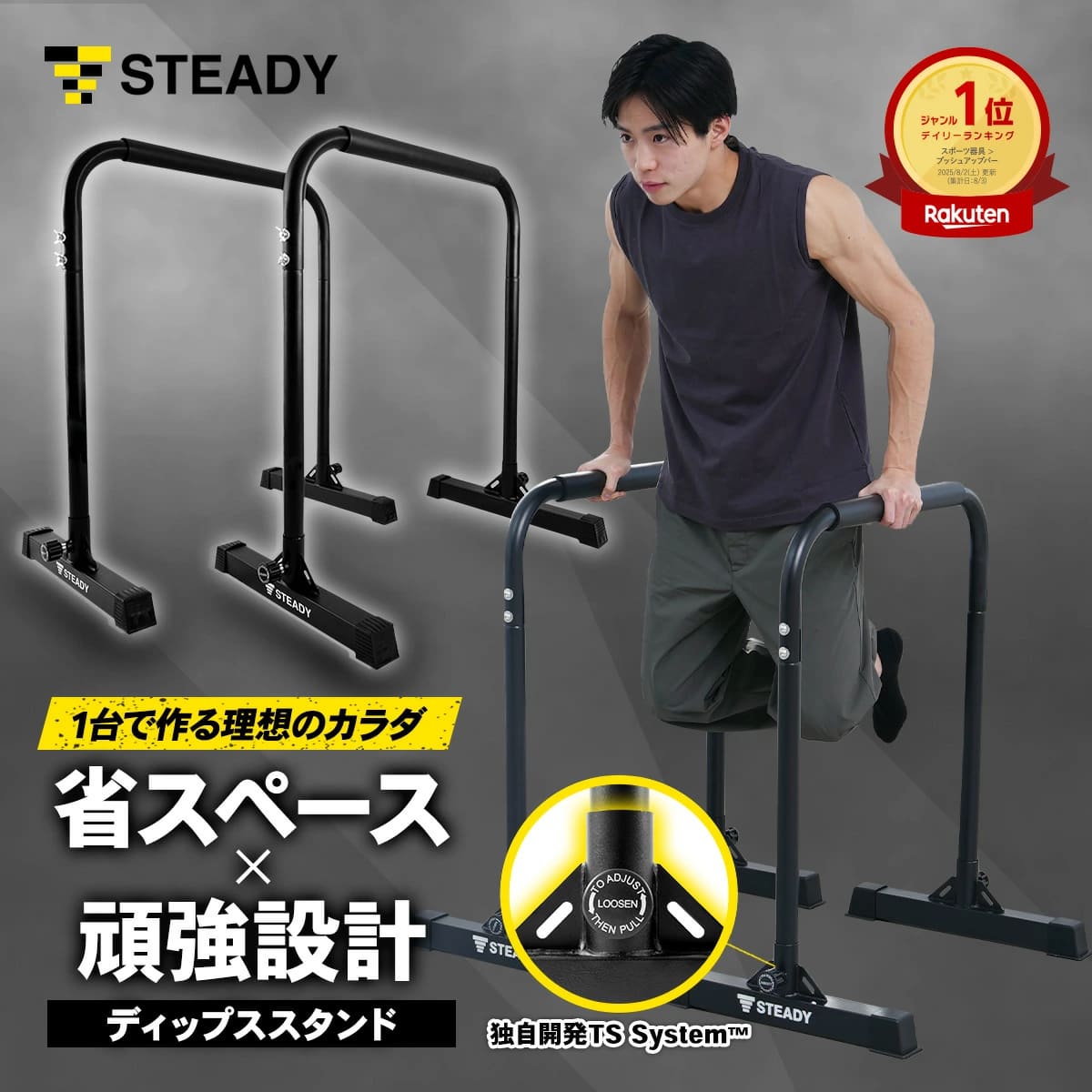 楽天市場】懸垂 steadyの通販