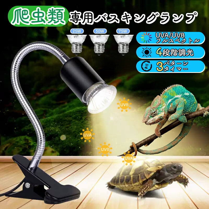 楽天市場】爬虫類 ライト セットの通販