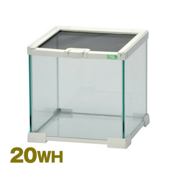 楽天市場】飼育ケース ガラスの通販