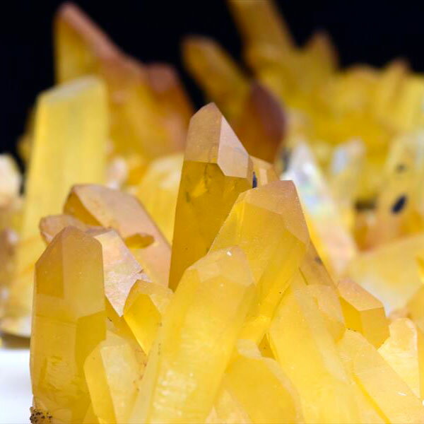 楽天市場】ゴールデンヒーラークラスターの通販