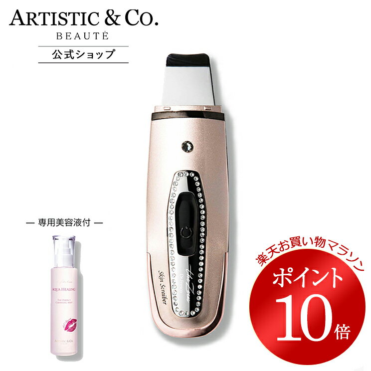 毛穴洗浄☆ARTISTIC&CO Dr.Fresco Fion 美顔器 未使用 Dr.Fresco Fion