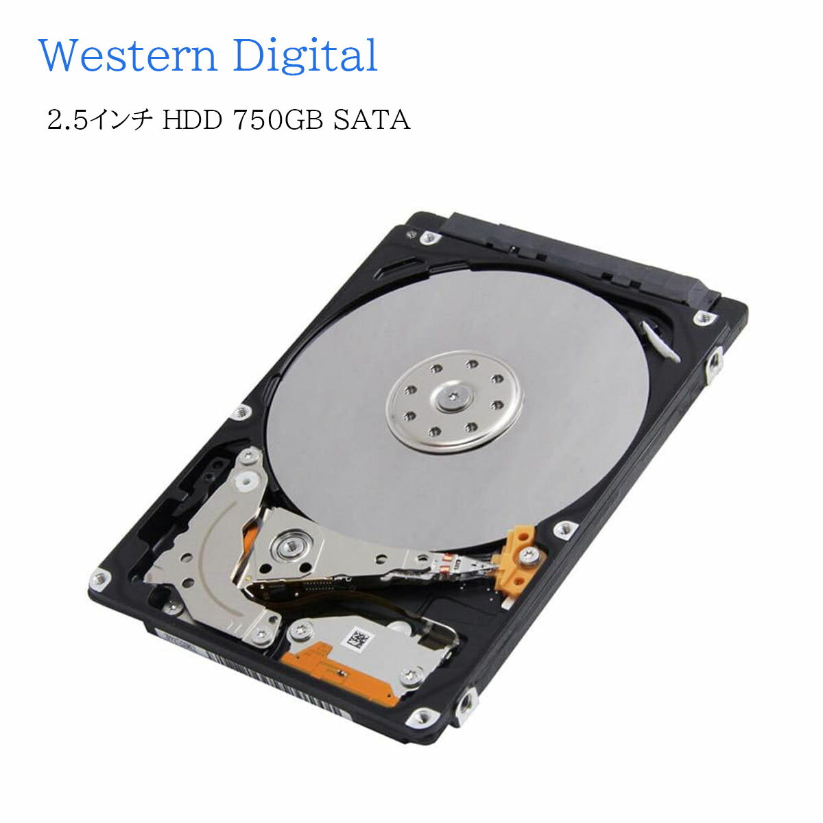 楽天市場】sata hdd 750gbの通販