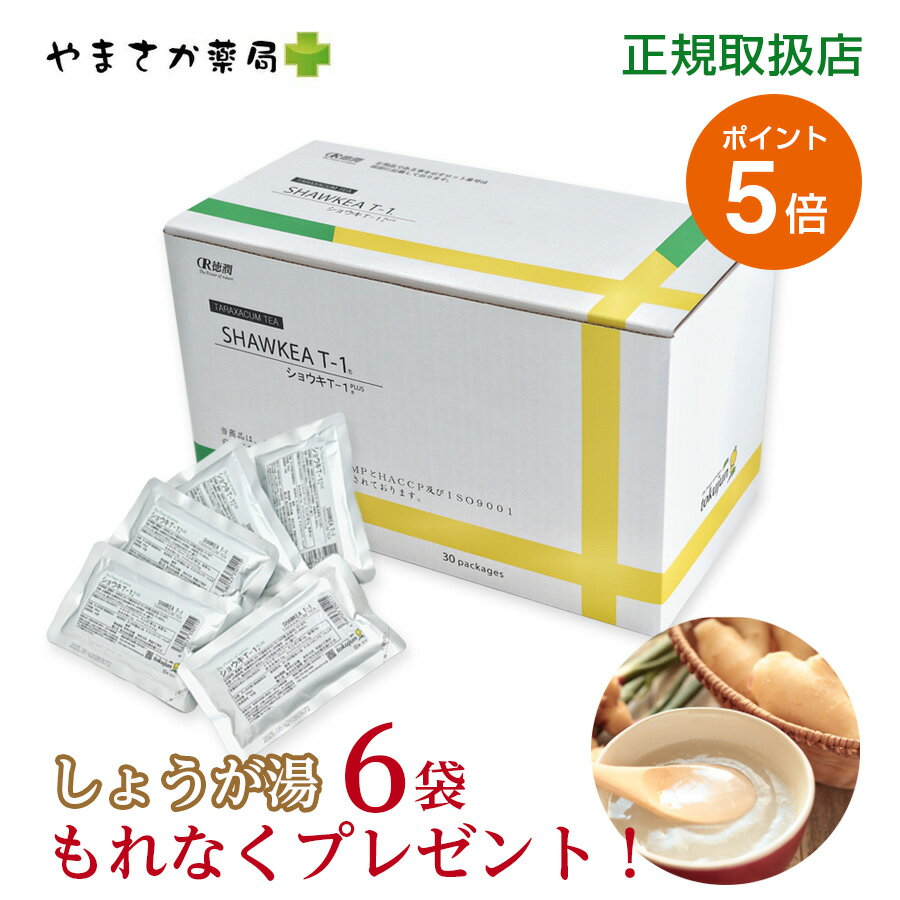 ⭐︎ミッキー⭐︎ショウキt-1 プレミアム 1箱＋10袋 ⭐︎ミッキー