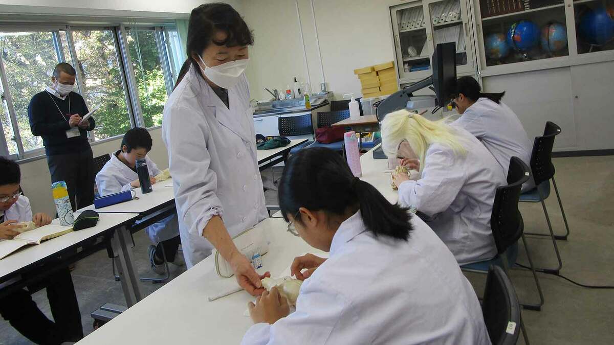 視覚障害の子の｢さわる授業｣､すべてに共通する｢学びの本質｣がここに