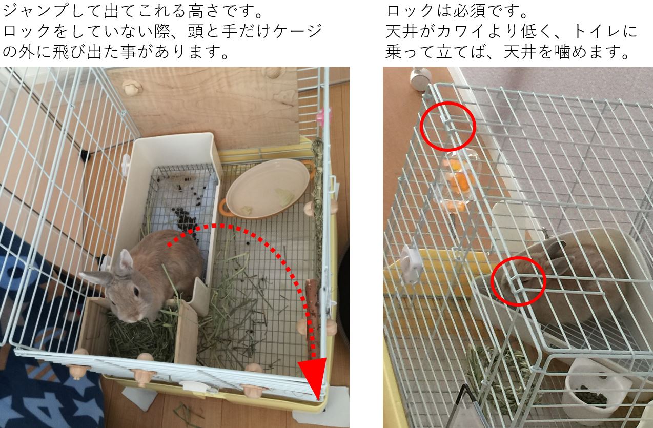 うさぎの飼育用品～ケージ2種比較 | Tom Lab