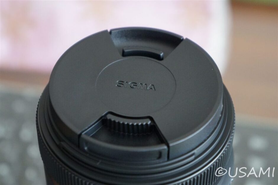 SIGMA 30mm F1.4 DC HSM Artを買った 開封/使用レビュー | ツーリッシュ