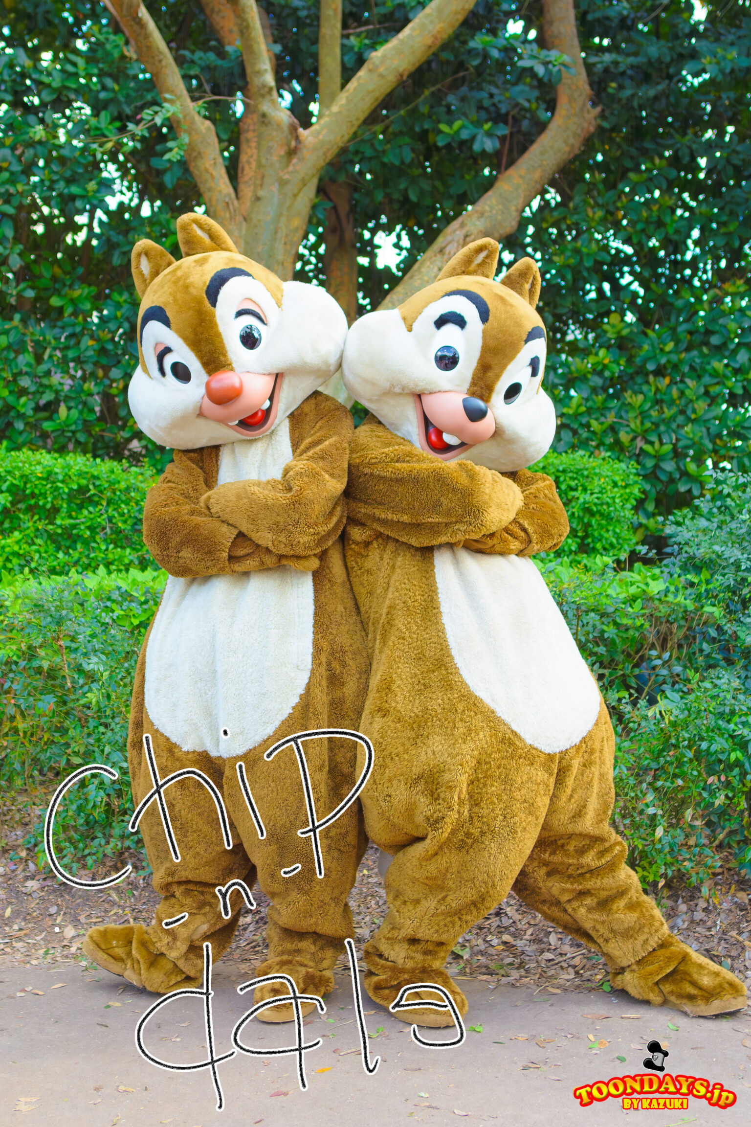 全紹介】チップとデール：会える方法や見分け方は？ディズニー全