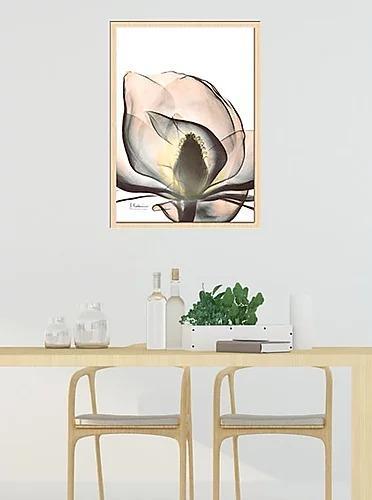 繊細な美しさを浮き彫りにするレントゲンアートポスター『Magnolia_A43