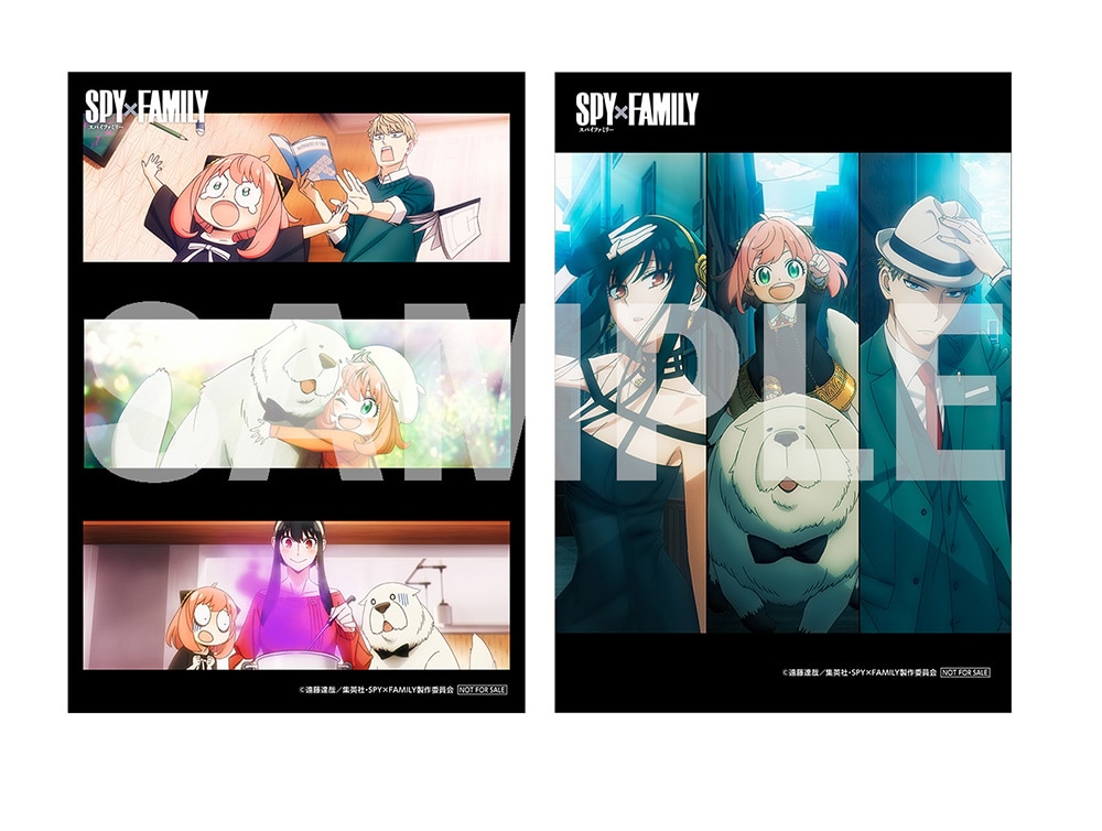 公式オンラインストア『SPY×FAMILY』Season 2 Vol.3 初回生産限定版